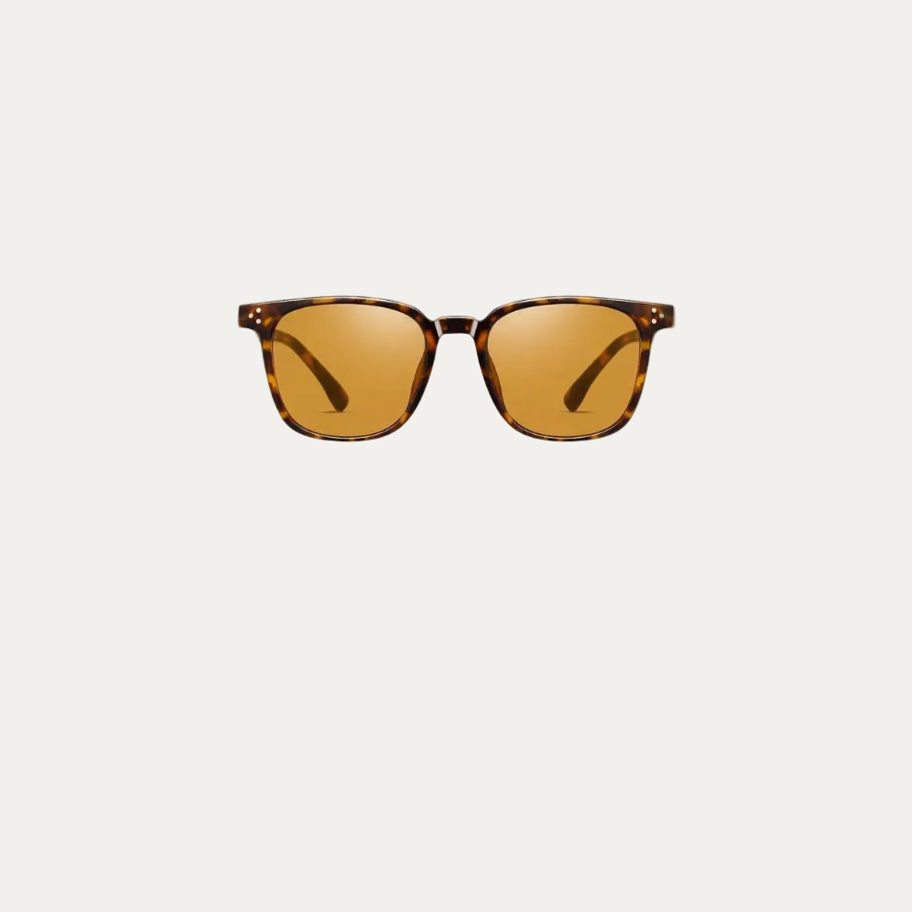 Alya Photochromic
